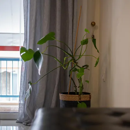 Apartment Hidden Gem Smyrnis Athens